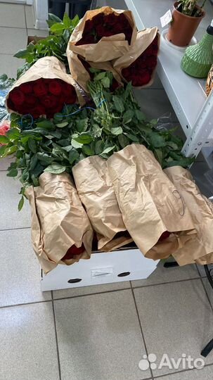 Роза черная магия 60см