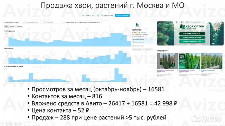 Авитолог - Постинг без блокировок / Обучение