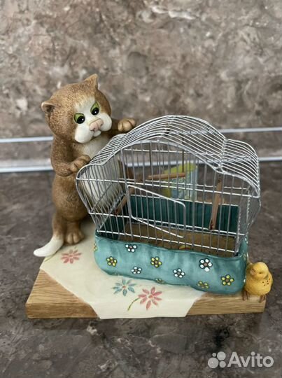 Коллекция Comic Curious Cats