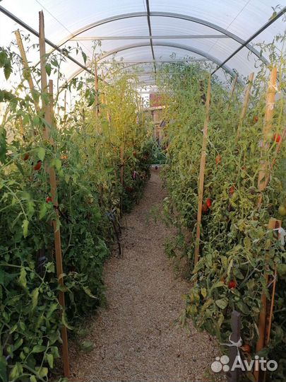 Продукты питания