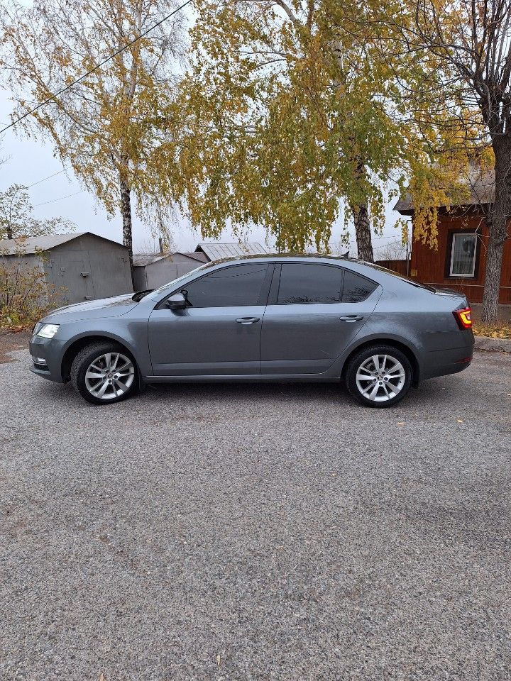 Skoda Octavia: фото владельца