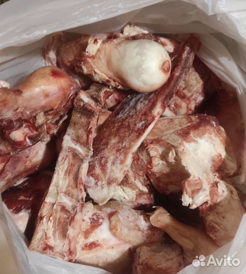 Мясо для животных