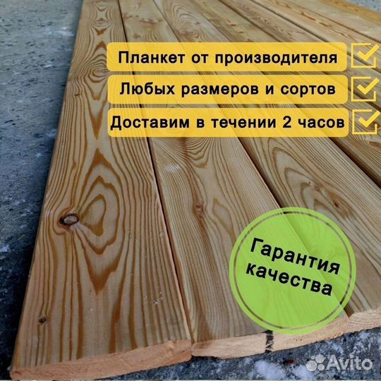 Планкен прямой лиственница