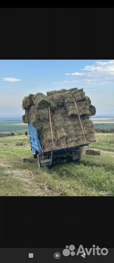 Для животных