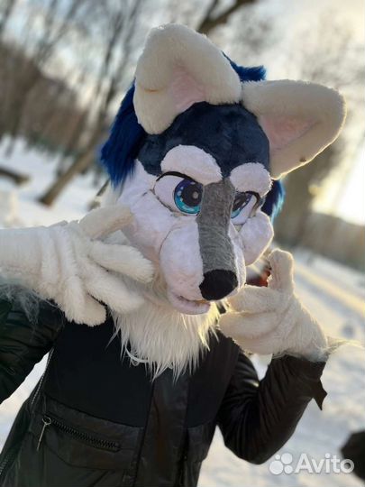 Фурсьют волка