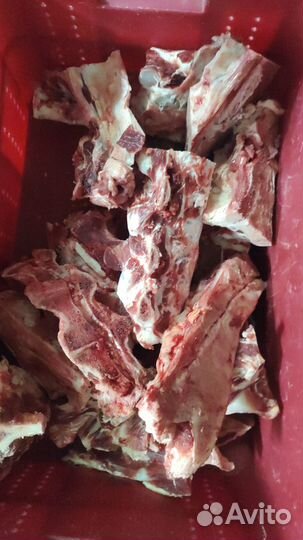 Кости говяжьи (бесплатно)