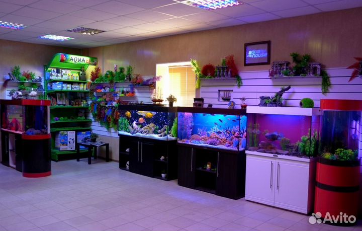 Аквариумы 100л - 500л