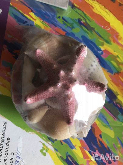 Набор морских гадов