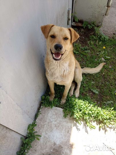 Мальчик подросток