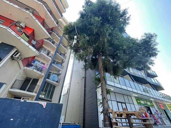 Своб. планировка, 34 м² (Грузия)