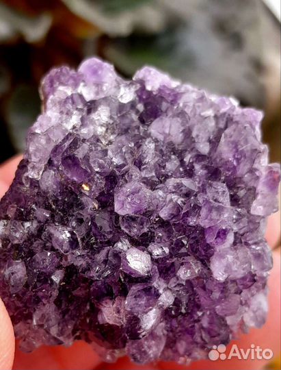 Друза натурального аметиста