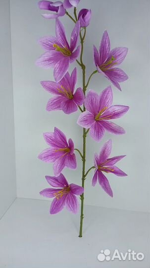 Ветка безвременника