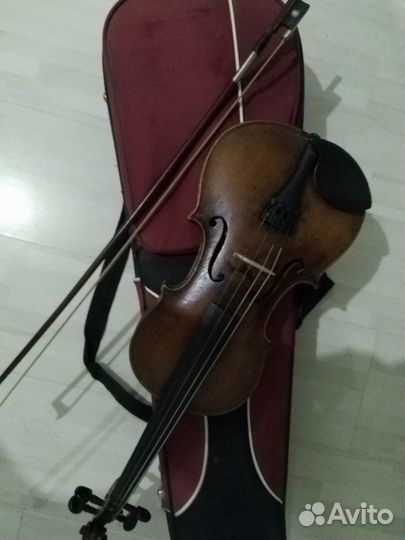 Скрипки 1/2 и 3/4