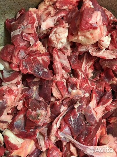 Мясо говядина обрезь кости для собак