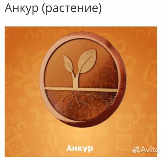 Монеты Пятерочка магазин сокровищ