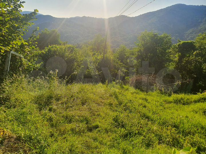 Участок 7,3 сот. (СНТ, ДНП)