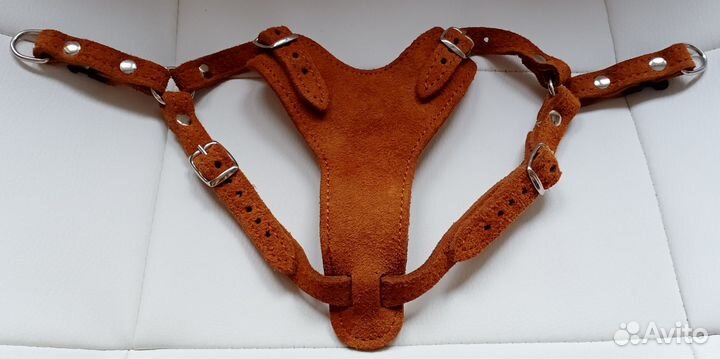 Шлейка для собак мелкой породы натуральная замша