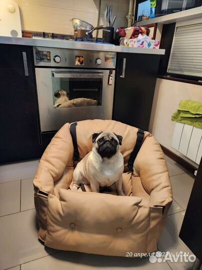 Кресло (место) автомобильное для собаки