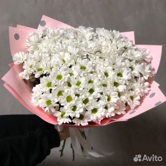 Ромашки, цветы,доставка цветов