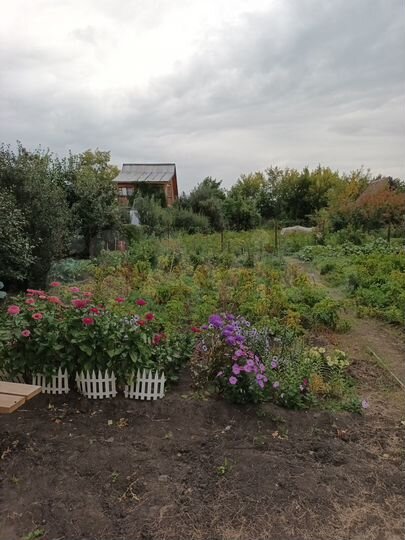 Дача 30 м² на участке 4 сот.