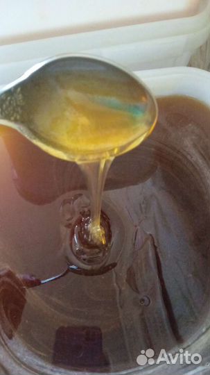 Горный Мёд и другие сорта