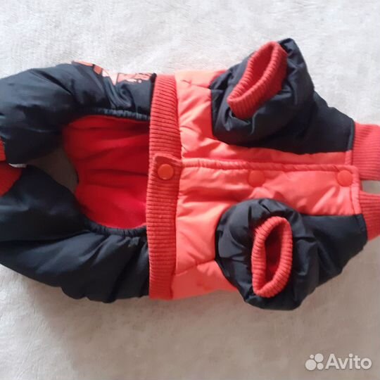 Одежда для маленьких собак