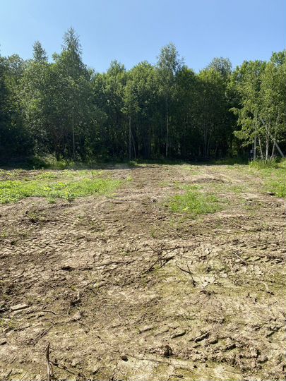 Участок 11,3 сот. (СНТ, ДНП)