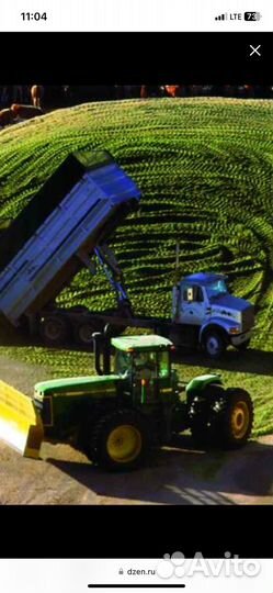 Силос кукурузный