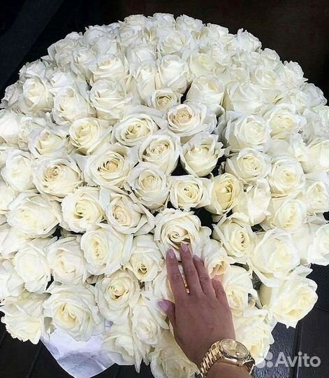 Розы Цветы Букеты 25 151 201 101 301 501 опт