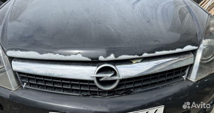 Пескоструй рыжиков жучков на авто авто