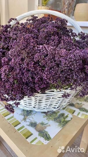 Душица из Башкирии, цена за пучок