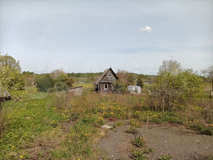 Дом 50 м² на участке 40 сот.