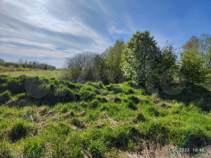 Участок 10 сот. (ИЖС)