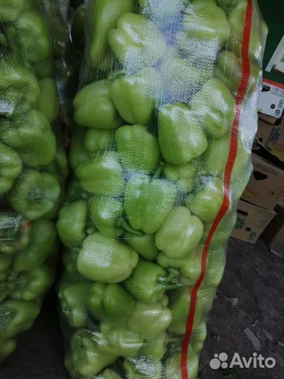 Перец балгарский