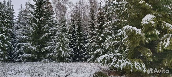 Уборка квартир и помещения