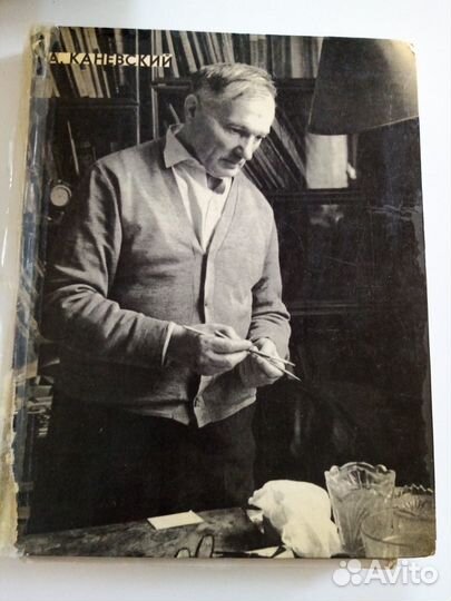 Книга А. М. Каневский