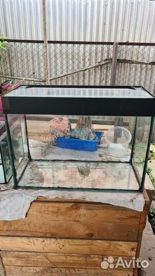 Аквариумы для рыбок