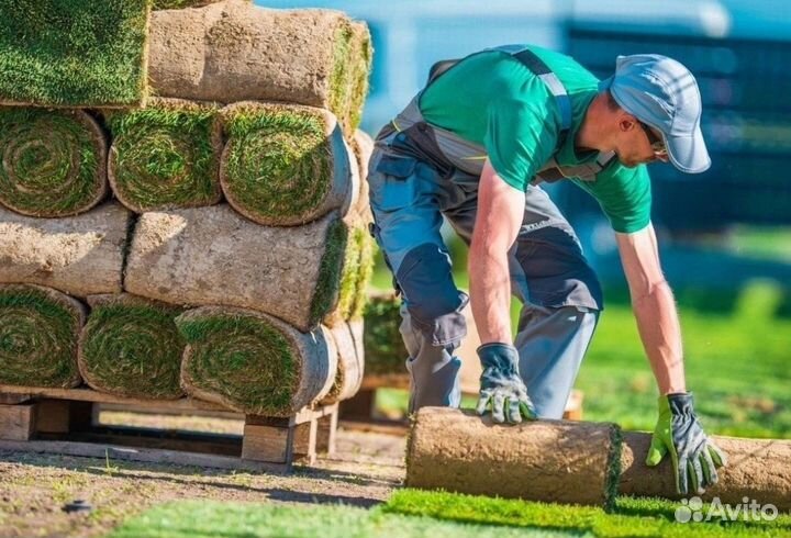 Требуется разнорабочий