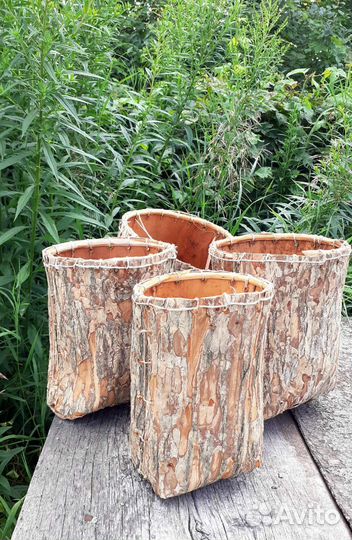 Кузова из коры вяза