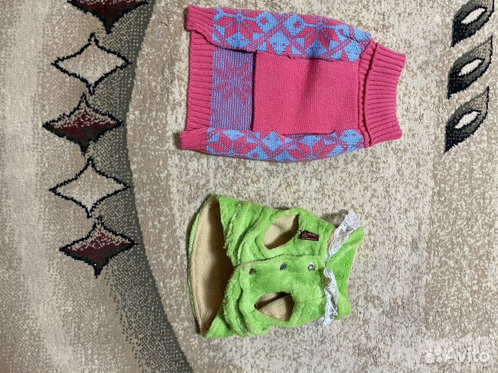 Вещи для чихуахуа