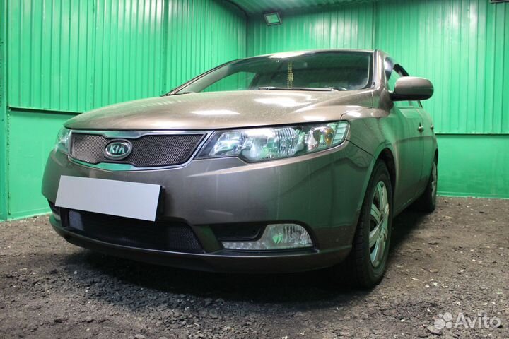 Защитная сетка радиатора низ черная Kia Cerato (20