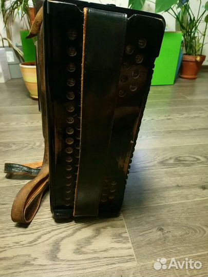 Аккордеон hohner, hоhner tango 2