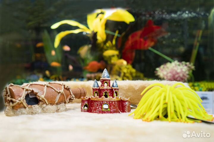 Декор для аквариума и террариума