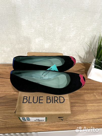 Новые замшевые балетки Blue bird р.38 Бразилия