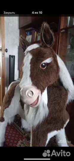 Интерактивная пони