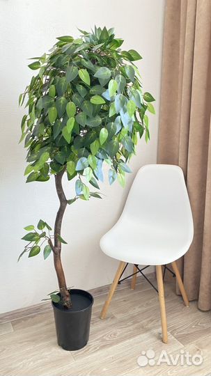 Искусственное дерево, фикус