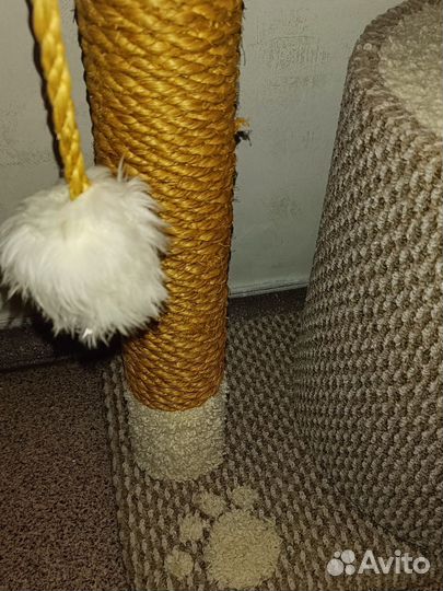 Когтеточка