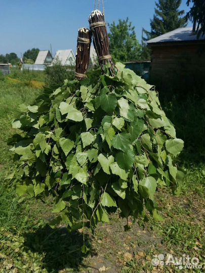 Веники березовые для бани