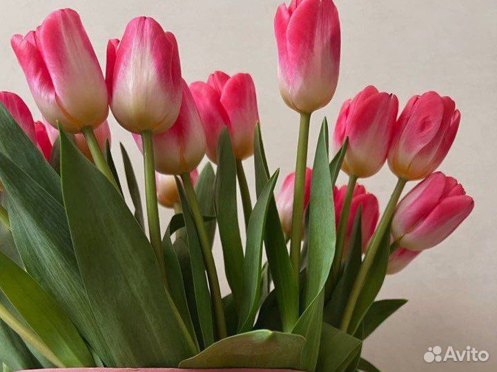 Букеты из тюльпанов/роз