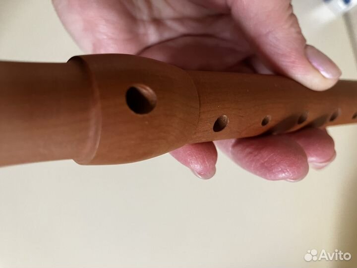 Блокфлейта сопрано В9516 hohner